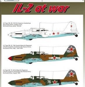 IL-2 Type 3 with NS37