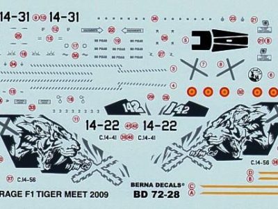 Mirage F1 M NATO Tiger Meet 2009
