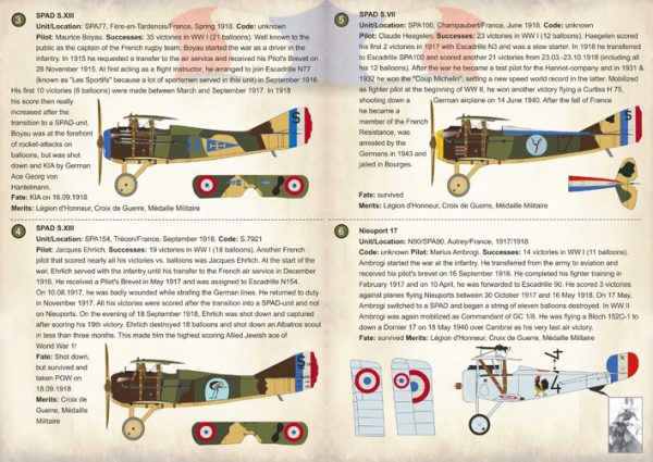 Balloon-Busting Aces of WW I Part 2 - France