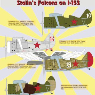 Stalin's Falcons on I-153 Part 6