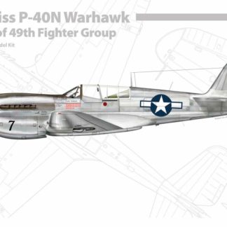 1/48 Curtiss P-40 N Aces of 49th Fighter Group