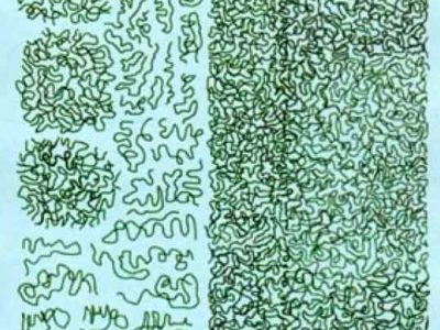 1/48 German Wellenmunster Camouflage RLM 83