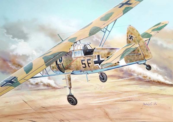 Henschel Hs-126B over Africa