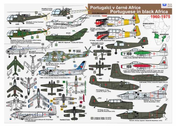 Portuguese in Black Africa  1960-1975