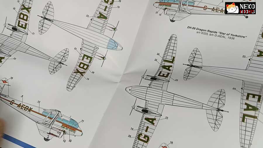 VIDEO DH89 DRAGON 02