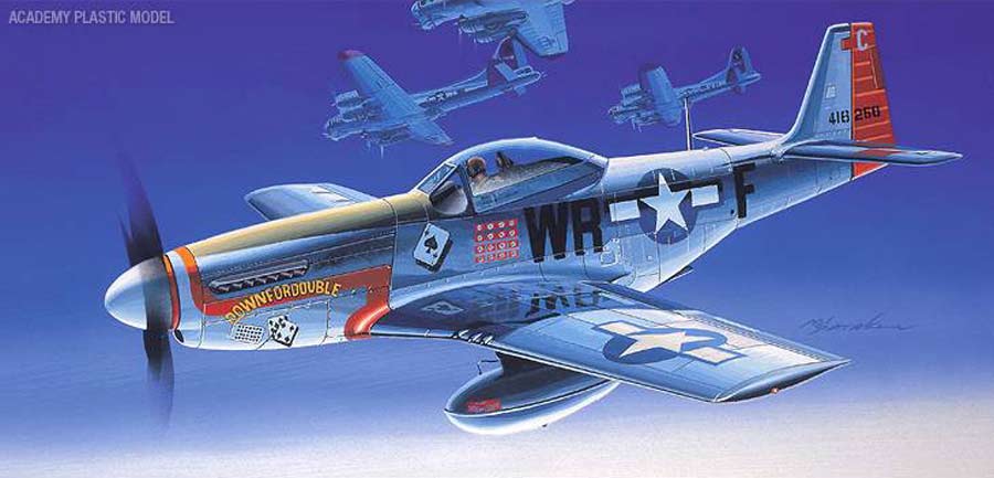 Lee más sobre el artículo P-51D Mustang