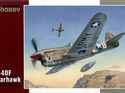 P-40F Warhawk Short Tails over Africa