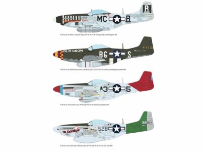 P-51 D Mustang Weekend